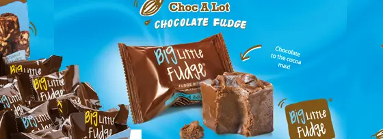 big-little-fudge-2.webp